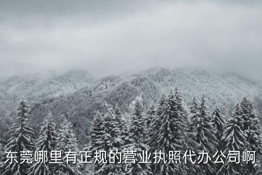 東莞市安達五金，東莞哪里有正規的營業執照代辦公司啊