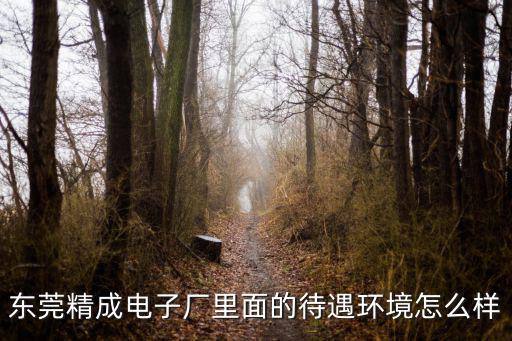 東莞精毅電子，東莞精成電子科技有限公司待遇什么樣