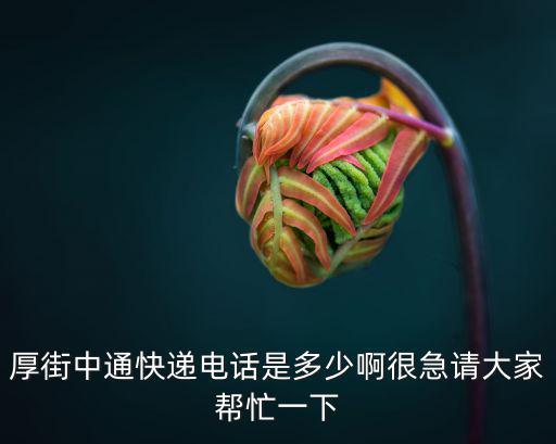 東莞厚街中通電話，廣東東莞厚街網通的電話是多少