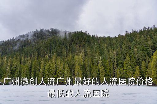 廣州微創(chuàng)人流廣州最好的人流醫(yī)院價格最低的人流醫(yī)院