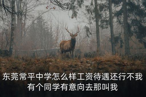 東莞常平中學(xué)怎么樣工資待遇還行不我有個同學(xué)有意向去那叫我