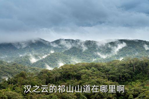 漢之云的祁山山道在哪里啊