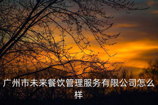 廣州市未來餐飲管理服務有限公司怎么樣