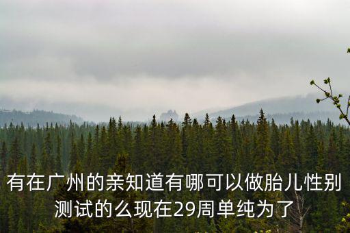 廣州白云區查胎兒性別，廣州有做胎兒性別鑒定的嗎
