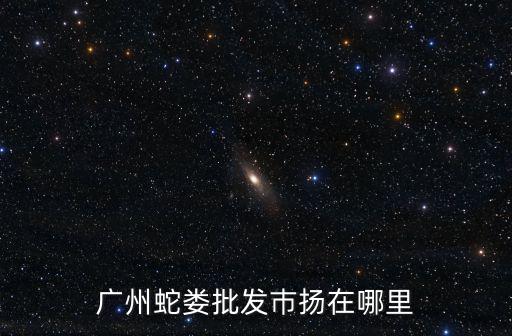 廣州蛇婁批發巿揚在哪里