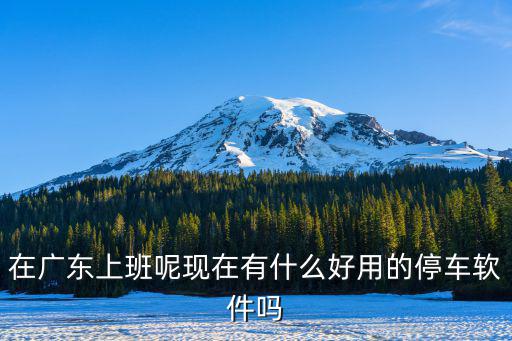 在廣東上班呢現在有什么好用的停車軟件嗎