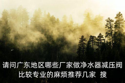 請問廣東地區哪些廠家做凈水器減壓閥比較專業的麻煩推薦幾家  搜