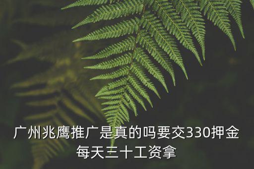 廣州兆鷹實(shí)業(yè)董事長(zhǎng)，廣州市蝶貝蕾精細(xì)化工有限公司董事長(zhǎng)是徐國(guó)華嗎