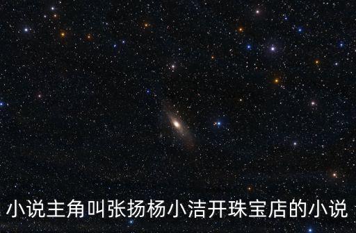 小說主角叫張揚楊小潔開珠寶店的小說