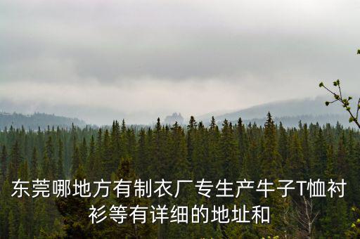 東莞哪地方有制衣廠專生產牛子T恤襯衫等有詳細的地址和