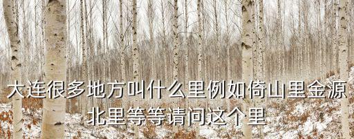 大連很多地方叫什么里例如倚山里金源北里等等請問這個里