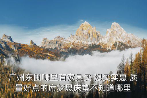 廣州東圃哪里有家具買 想買實惠 質量好點的席夢思床墊不知道哪里