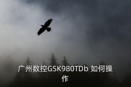 廣州數(shù)控GSK980TDb 如何操作
