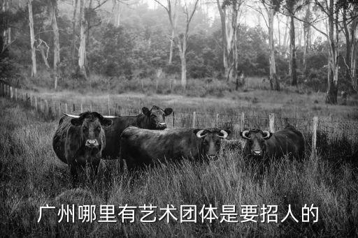 廣州哪里有藝術團體是要招人的
