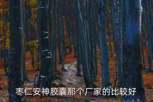 棗仁安神膠囊那個(gè)廠家的比較好