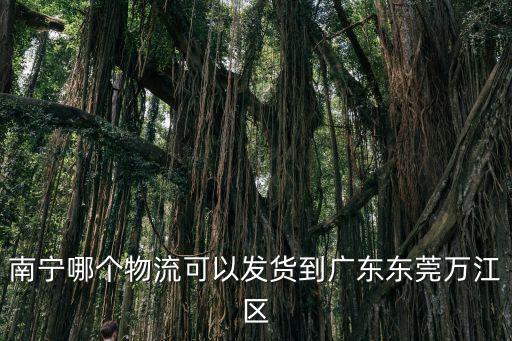 南寧哪個物流可以發貨到廣東東莞萬江區