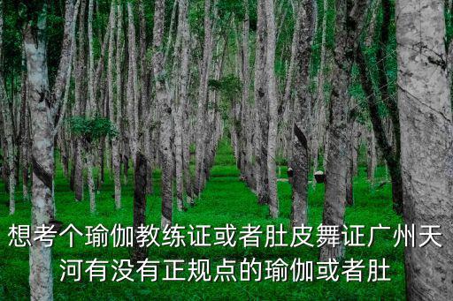 想考個(gè)瑜伽教練證或者肚皮舞證廣州天河有沒(méi)有正規(guī)點(diǎn)的瑜伽或者肚