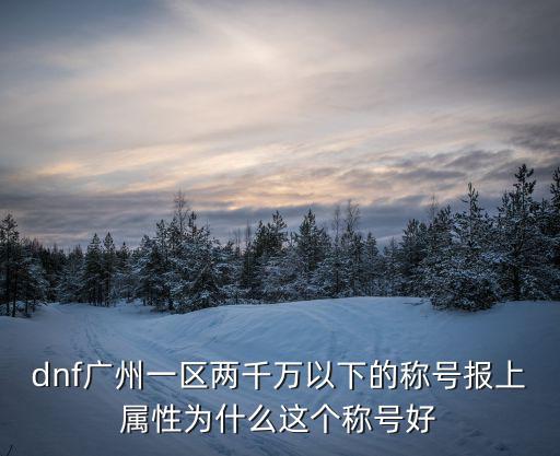 dnf廣州一區兩千萬以下的稱號報上屬性為什么這個稱號好