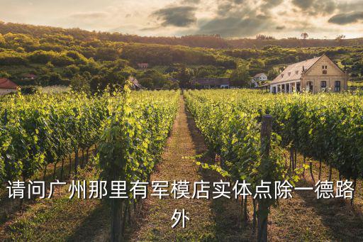 廣州軍迷店，廣州那里有軍迷服飾店