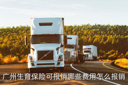 廣州生育保險可報銷哪些費用怎么報銷