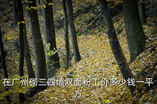 在廣州砌二四墻雙面粉工價多少錢一平方