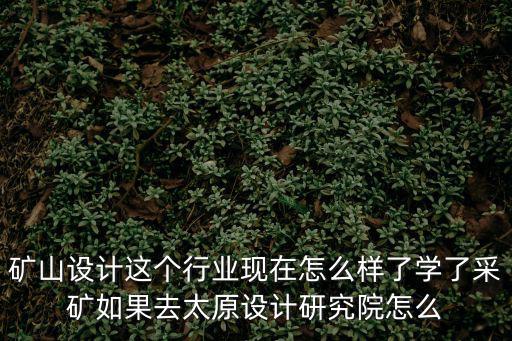 礦山設(shè)計(jì)這個(gè)行業(yè)現(xiàn)在怎么樣了學(xué)了采礦如果去太原設(shè)計(jì)研究院怎么