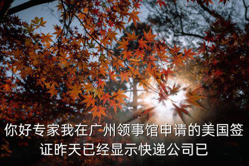 廣州美國簽證 自取，美國簽證是自取快還是快遞快
