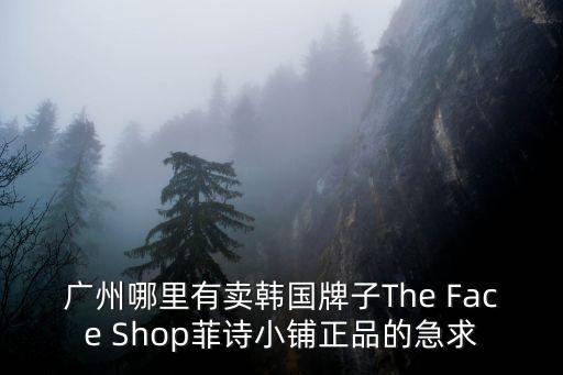 廣州哪里有賣韓國牌子The Face Shop菲詩小鋪正品的急求