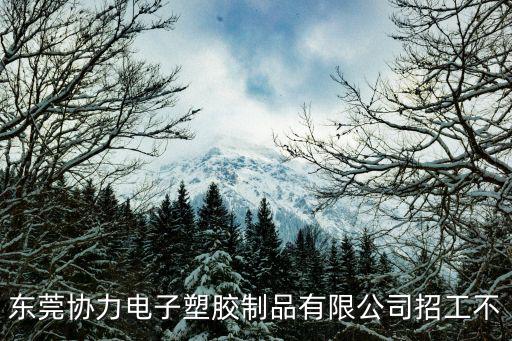 東莞協力電子塑膠制品有限公司招工不