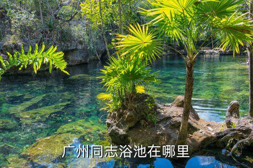 廣州同志浴池在哪里