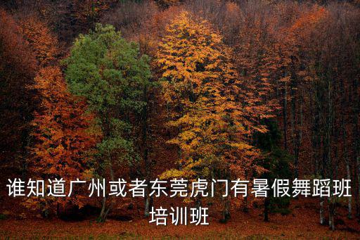誰知道廣州或者東莞虎門有暑假舞蹈班培訓班