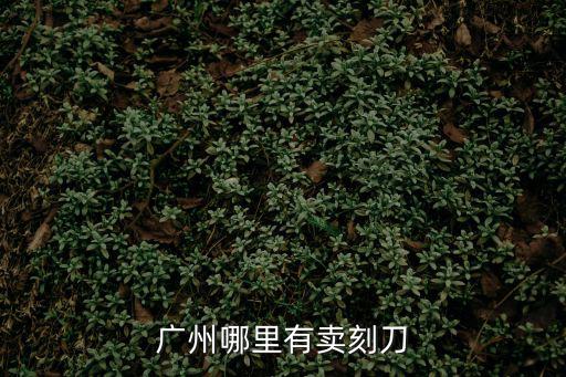 廣州哪里有賣刻刀