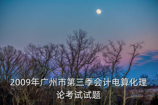 2009年廣州市第三季會計電算化理論考試試題