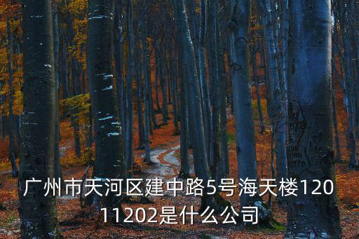 廣州市天河區建中路5號海天樓12011202是什么公司