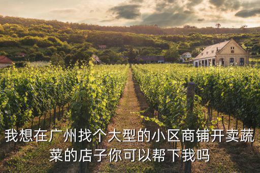 廣州大型小區而且內設商鋪，廣州市海珠區哪里的小區商鋪多
