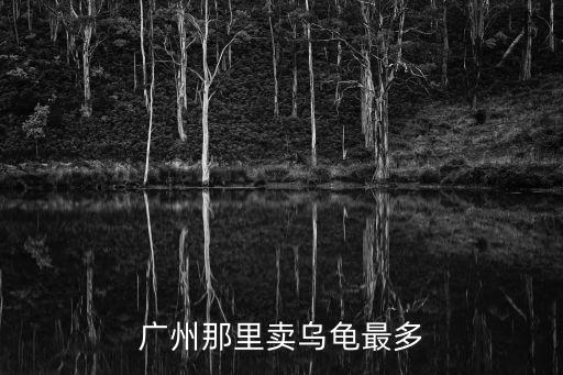 廣州那里賣烏龜最多