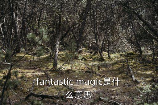 fantastic magic是什么意思