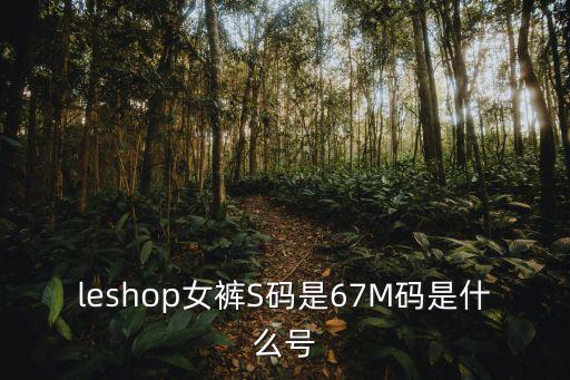 Leshop，leshop是什么牌子