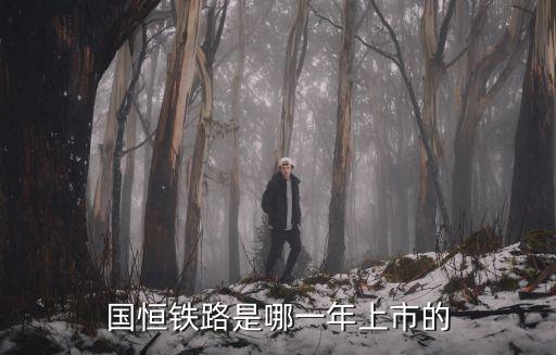 國恒鐵路是哪一年上市的