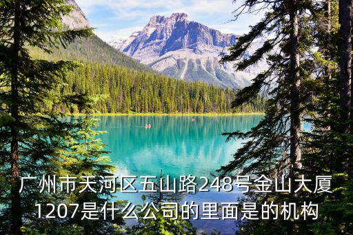 廣州市天河區(qū)五山路248號金山大廈1207是什么公司的里面是的機(jī)構(gòu)