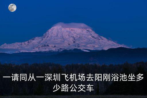 一請同從一深圳飛機場去陽剛浴池坐多少路公交車
