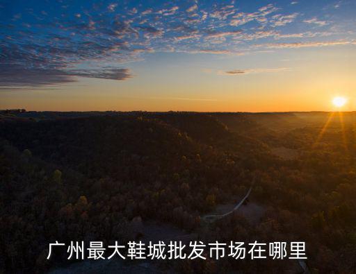廣州最大鞋城批發市場在哪里