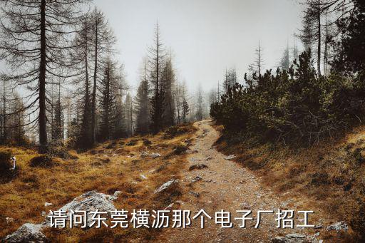 請問東莞橫瀝那個電子廠招工