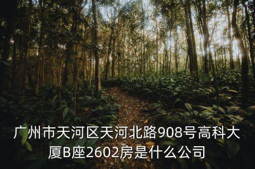 廣州市天河區天河北路908號高科大廈B座2602房是什么公司