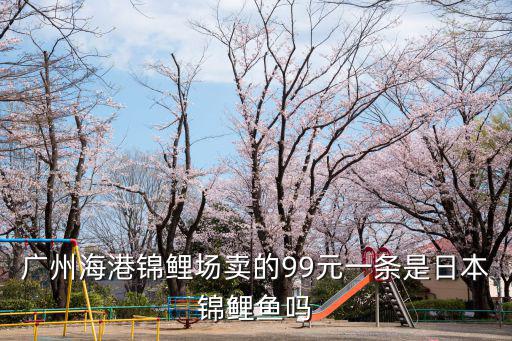 廣州錦鯉場，廣州最大的觀賞魚市場在哪