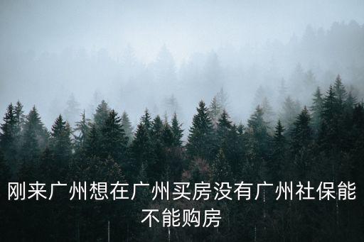 剛來廣州想在廣州買房沒有廣州社保能不能購房