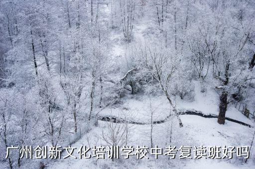 廣州創新文化培訓學校中考復讀班好嗎
