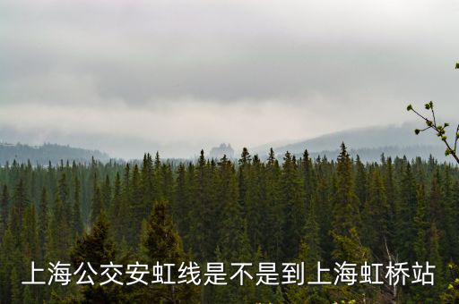 上海公交安虹線是不是到上海虹橋站