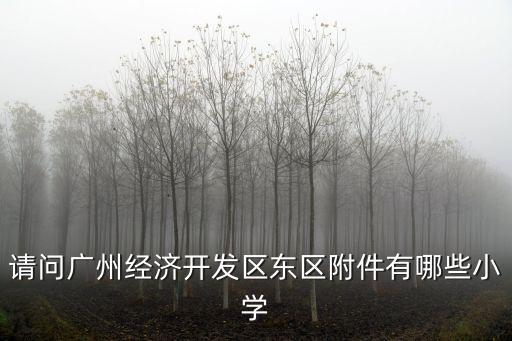 請問廣州經濟開發區東區附件有哪些小學