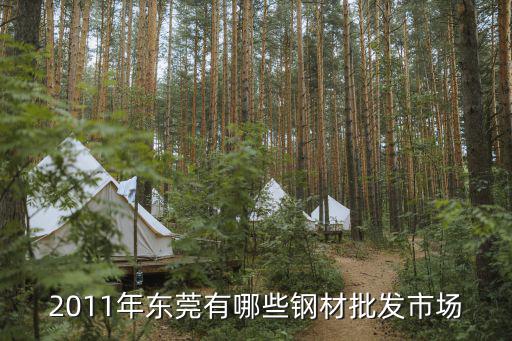 東莞鋼材城現狀，現在的鋼材市場都在哪里